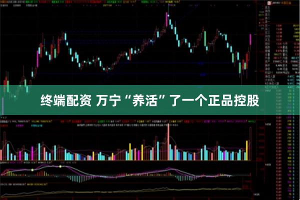 终端配资 万宁“养活”了一个正品控股