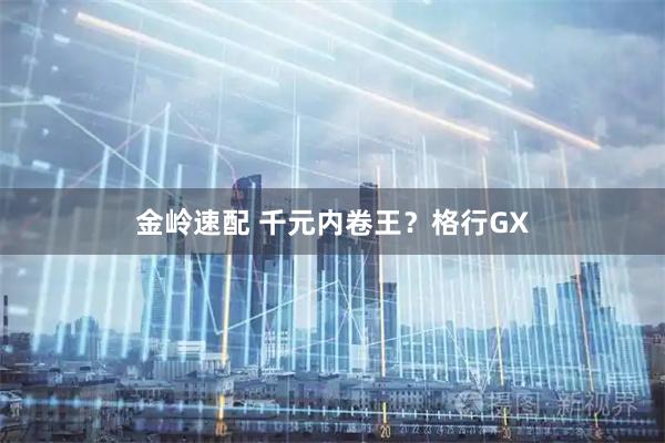 金岭速配 千元内卷王？格行GX